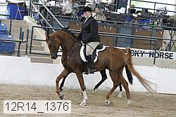12r14_1376 proof