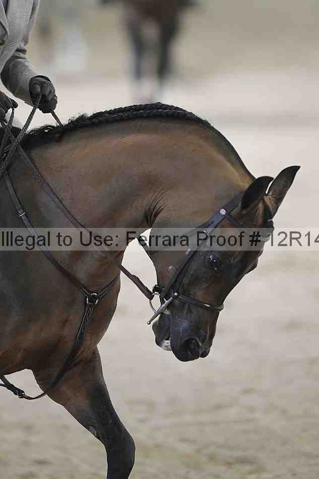 Proof 12r14_1377