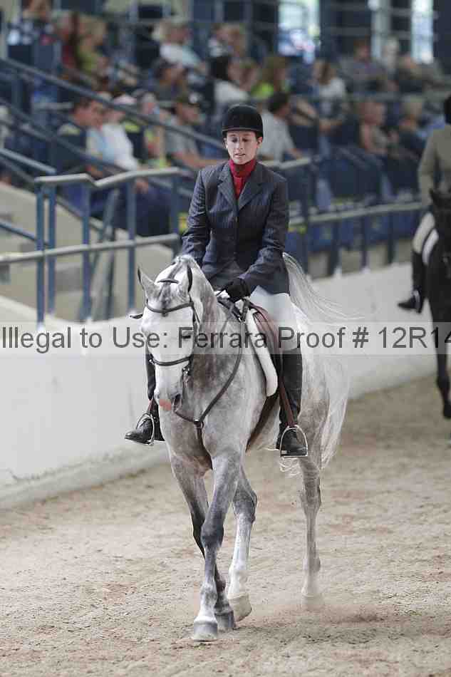 Proof 12r14_1378