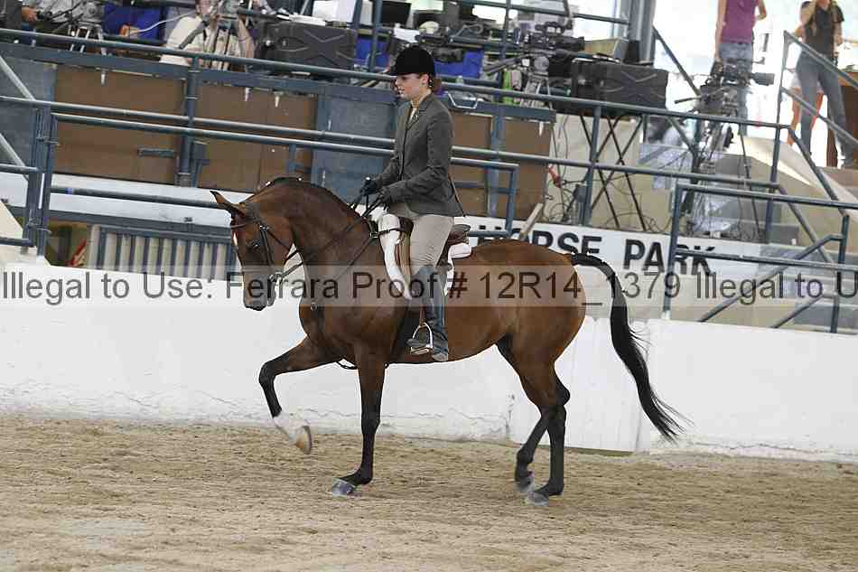 Proof 12r14_1379