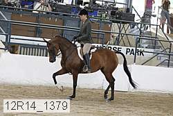 12r14_1379 proof