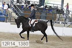 12r14_1380 proof