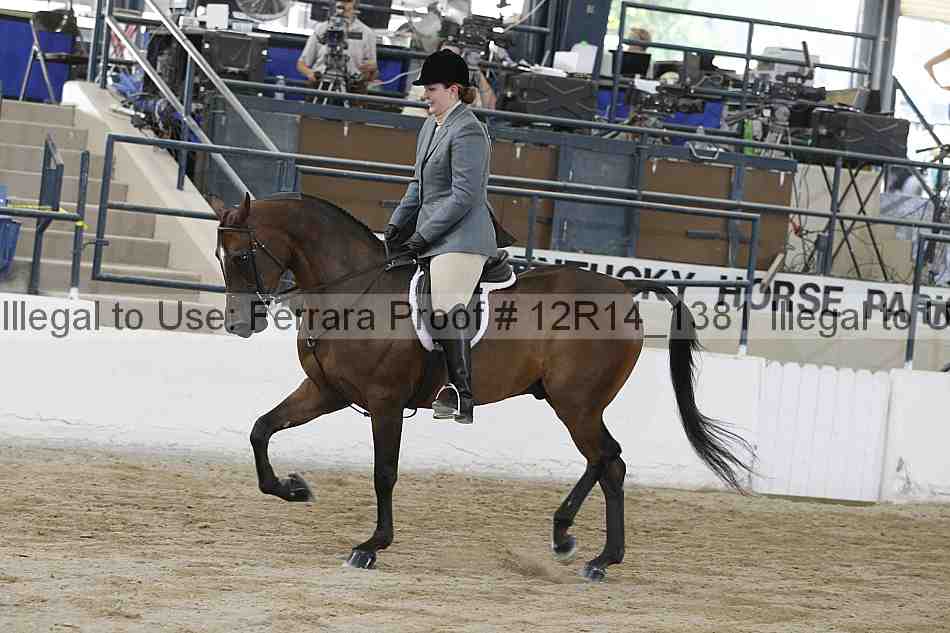 Proof 12r14_1381