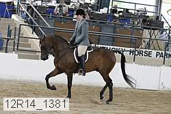 12r14_1381 proof