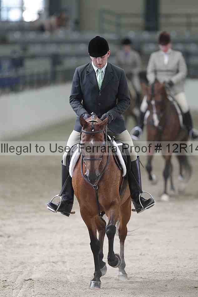 Proof 12r14_1385