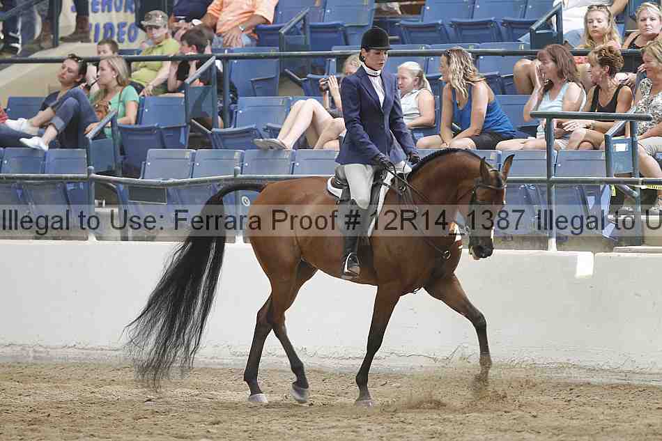 Proof 12r14_1387