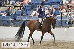 12r14_1387 proof
