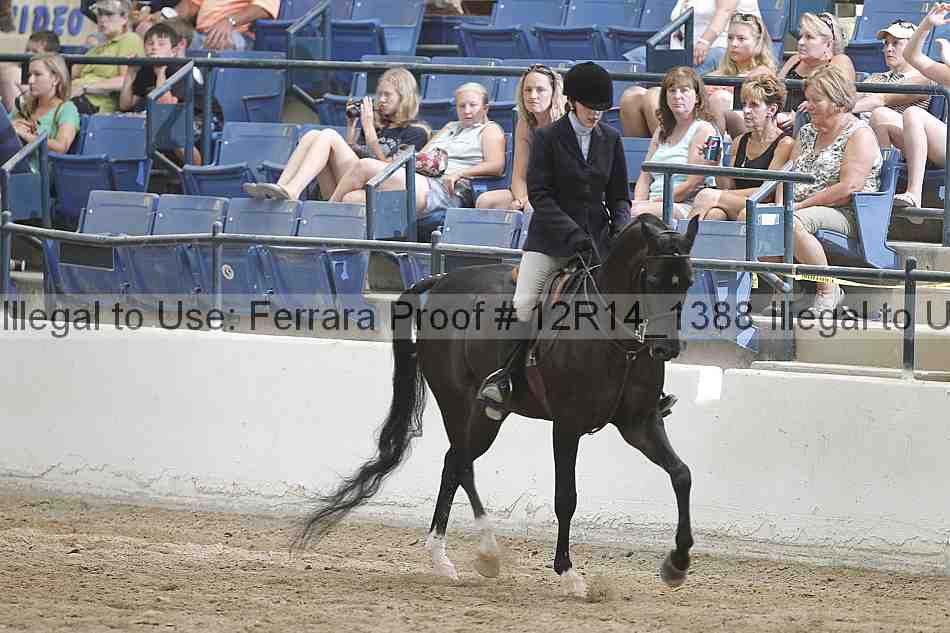 Proof 12r14_1388