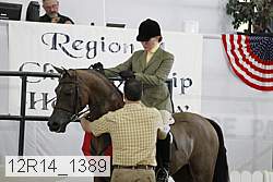 12r14_1389 proof