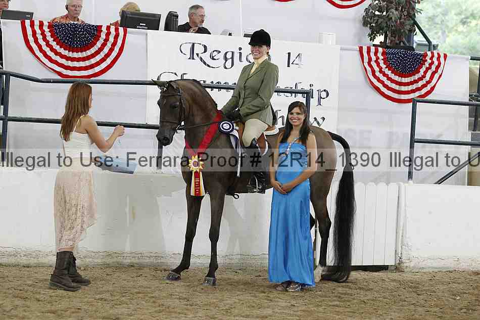 Proof 12r14_1390
