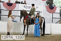 12r14_1390 proof