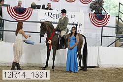 12r14_1391 proof