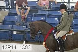 12r14_1392 proof