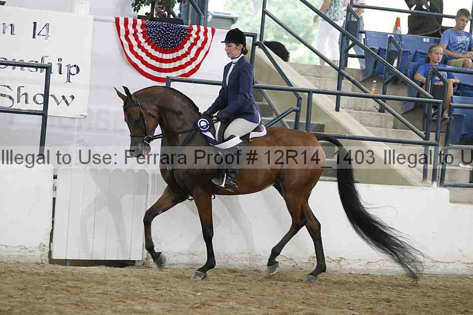 Proof 12r14_1403