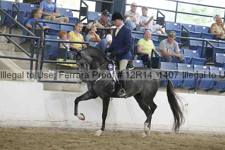 Proof 12r14_1407