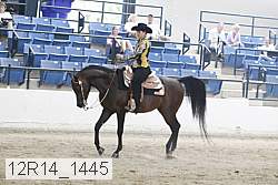 12r14_1445 proof