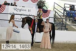 12r14_1463 proof