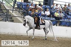12r14_1475 proof