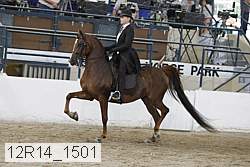 12r14_1501 proof