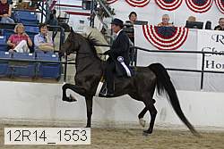 12r14_1553 proof