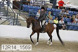 12r14_1569 proof
