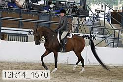 12r14_1570 proof