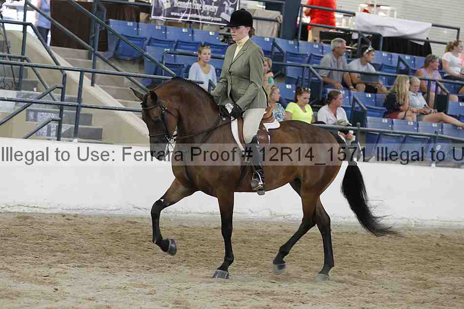 Proof 12r14_1571