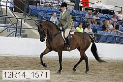 12r14_1571 proof