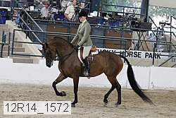 12r14_1572 proof