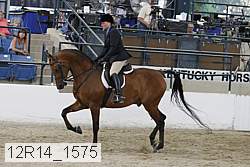 12r14_1575 proof