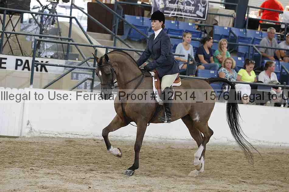 Proof 12r14_1576