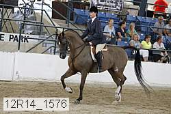 12r14_1576 proof