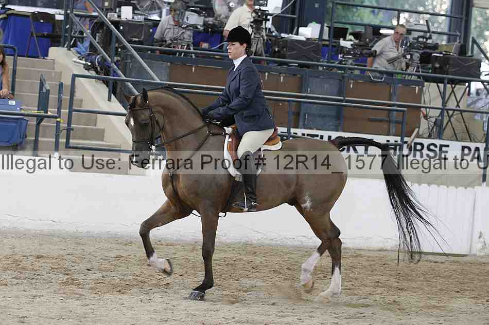 Proof 12r14_1577