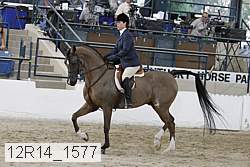 12r14_1577 proof