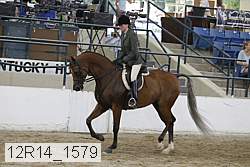 12r14_1579 proof