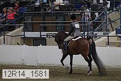 12r14_1581 proof