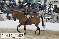 12r14_1582 proof