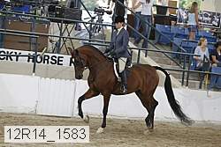 12r14_1583 proof