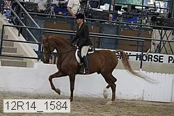 12r14_1584 proof