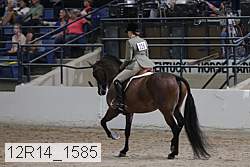 12r14_1585 proof