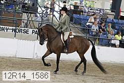 12r14_1586 proof