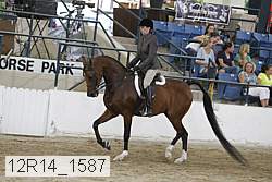 12r14_1587 proof