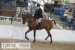 12r14_1588 proof