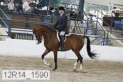 12r14_1590 proof