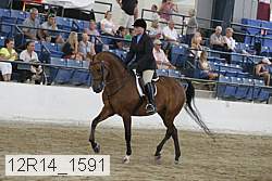 12r14_1591 proof