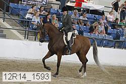 12r14_1593 proof