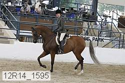 12r14_1595 proof