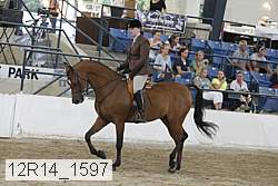 12r14_1597 proof