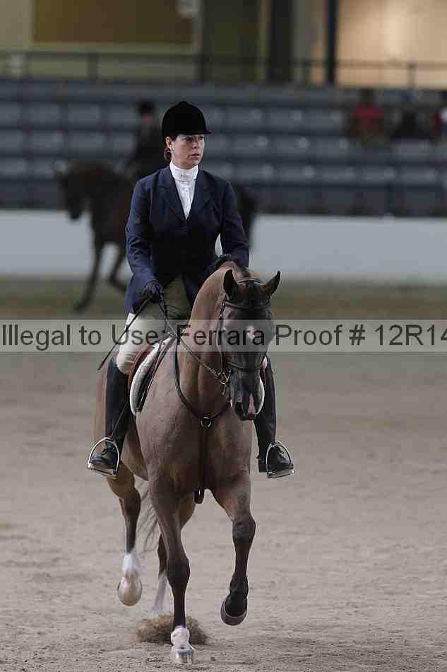 Proof 12r14_1598