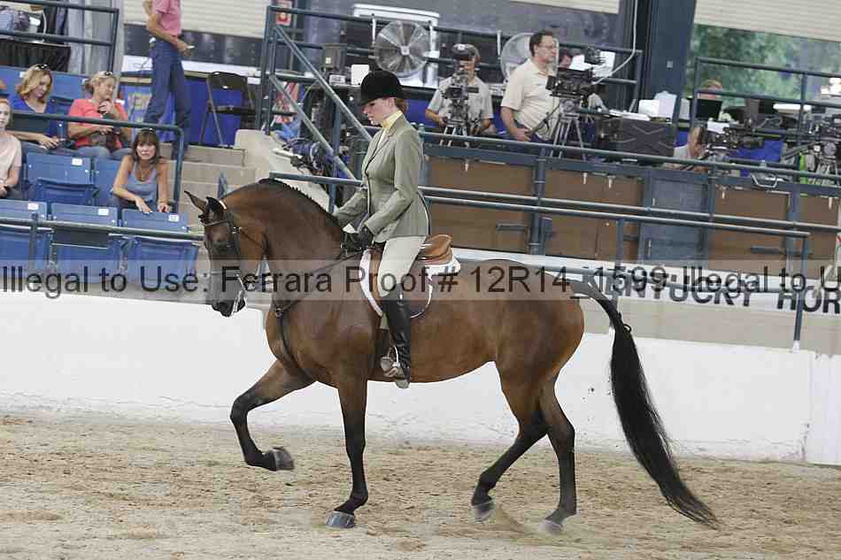 Proof 12r14_1599